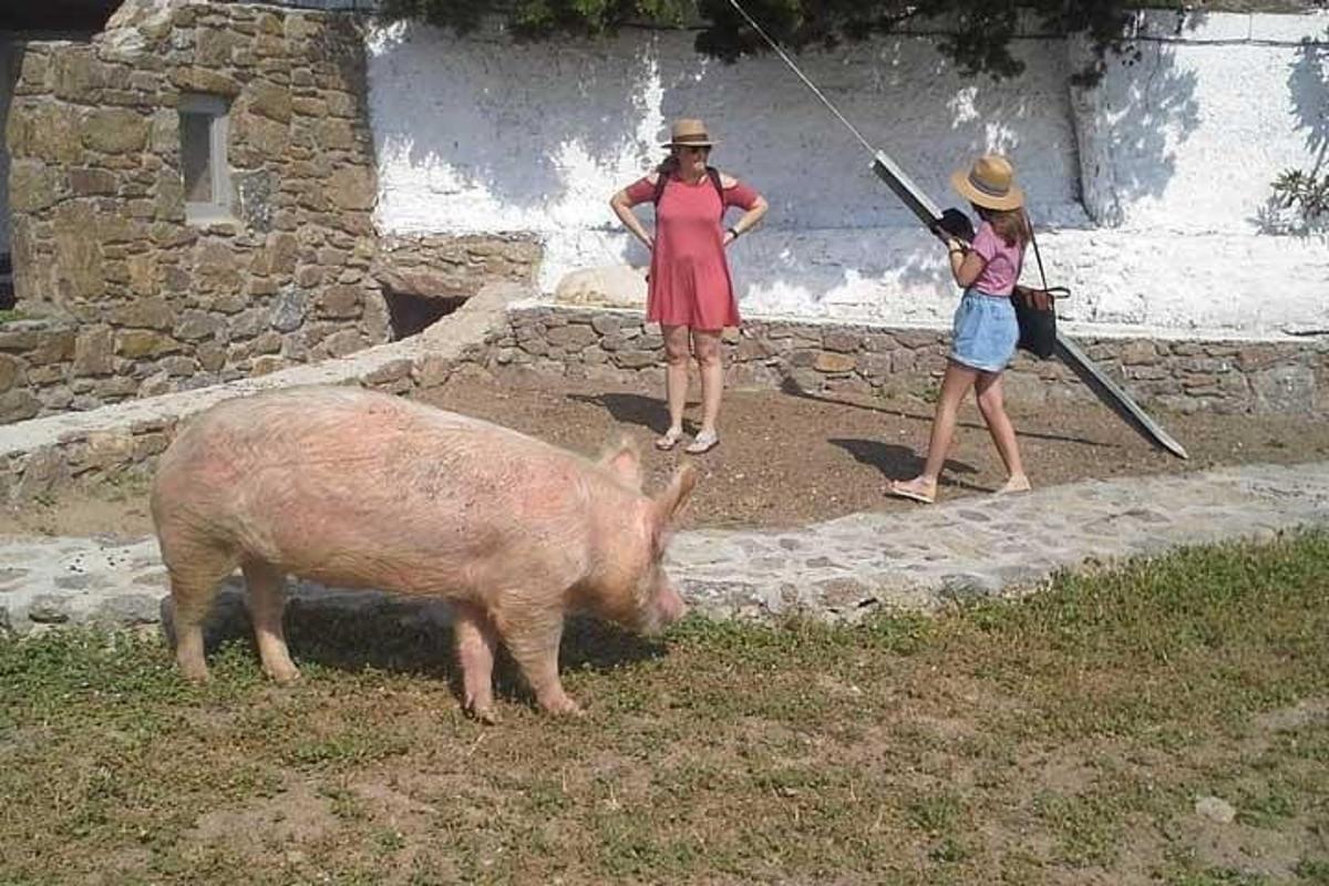 ženska in deklica, ki stojita poleg prašiča