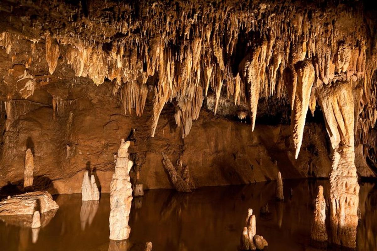 una cueva con carámbanos colgando del techo