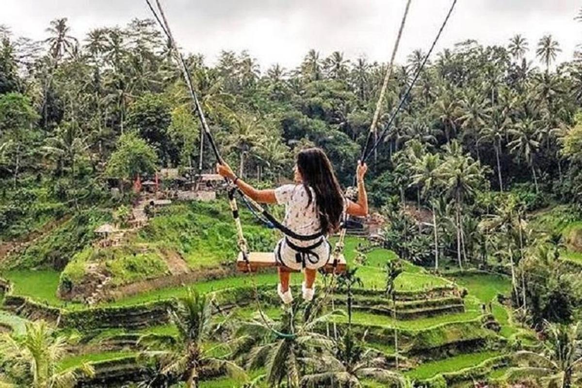 žena houpající se na zip line nad polem