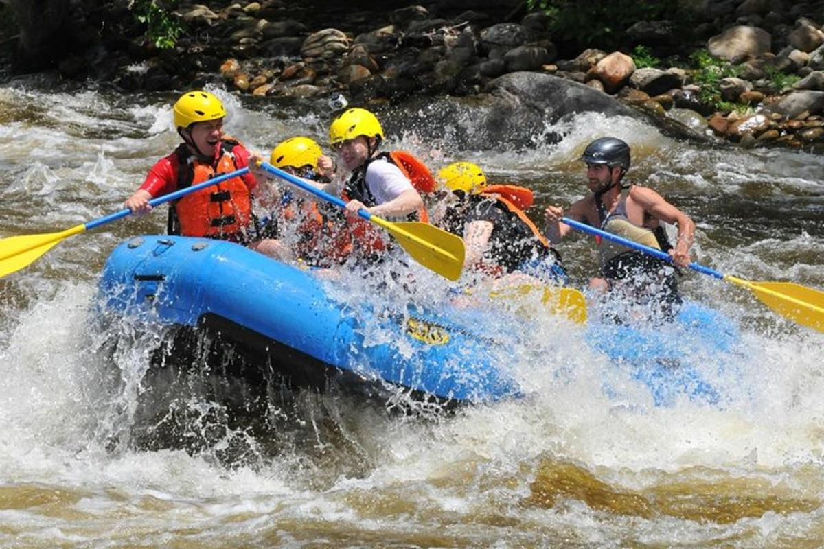 a group of people in a raft in a river