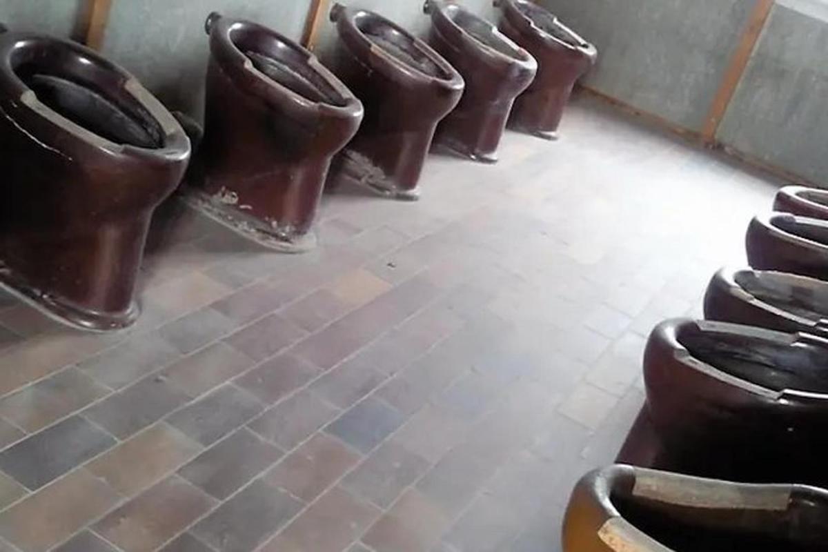 un rând de toalete maro într-o cameră