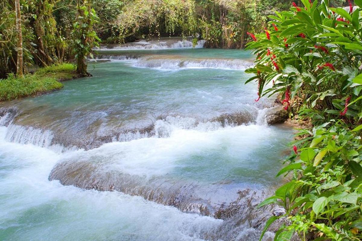 un fiume con rapide sulle rocce e sugli alberi
