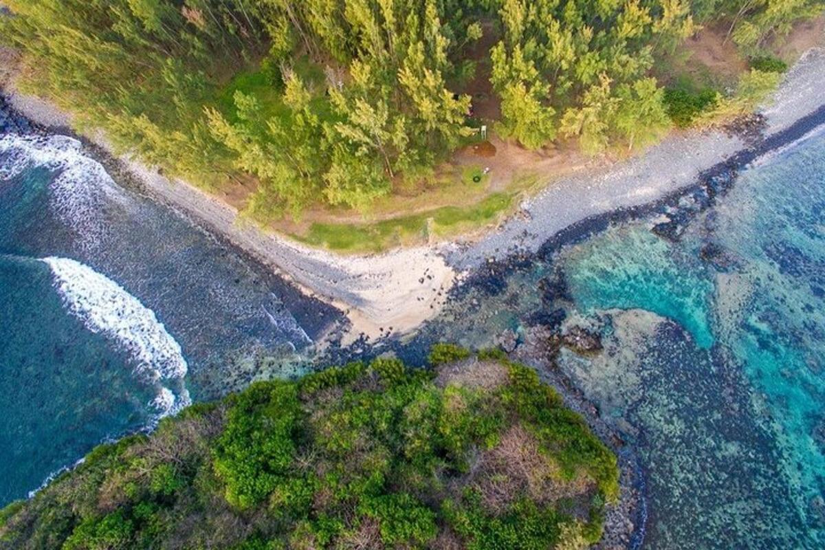 eine Luftaufnahme eines Strandes mit Bäumen und Wasser
