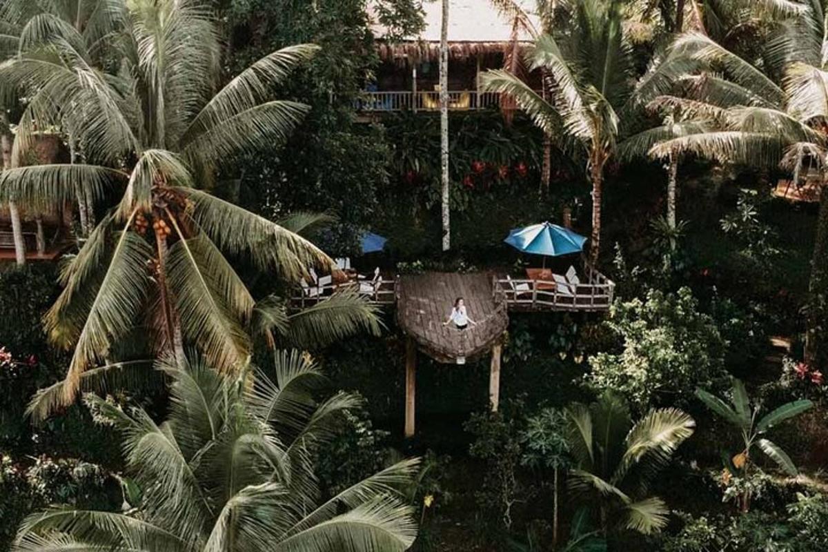 棕榈树度假村的俯视图