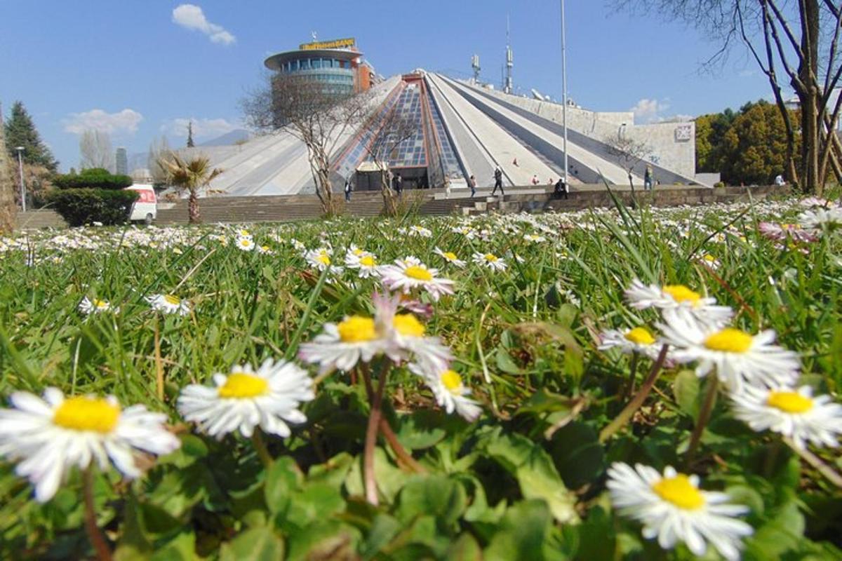 um campo de flores com um prédio ao fundo