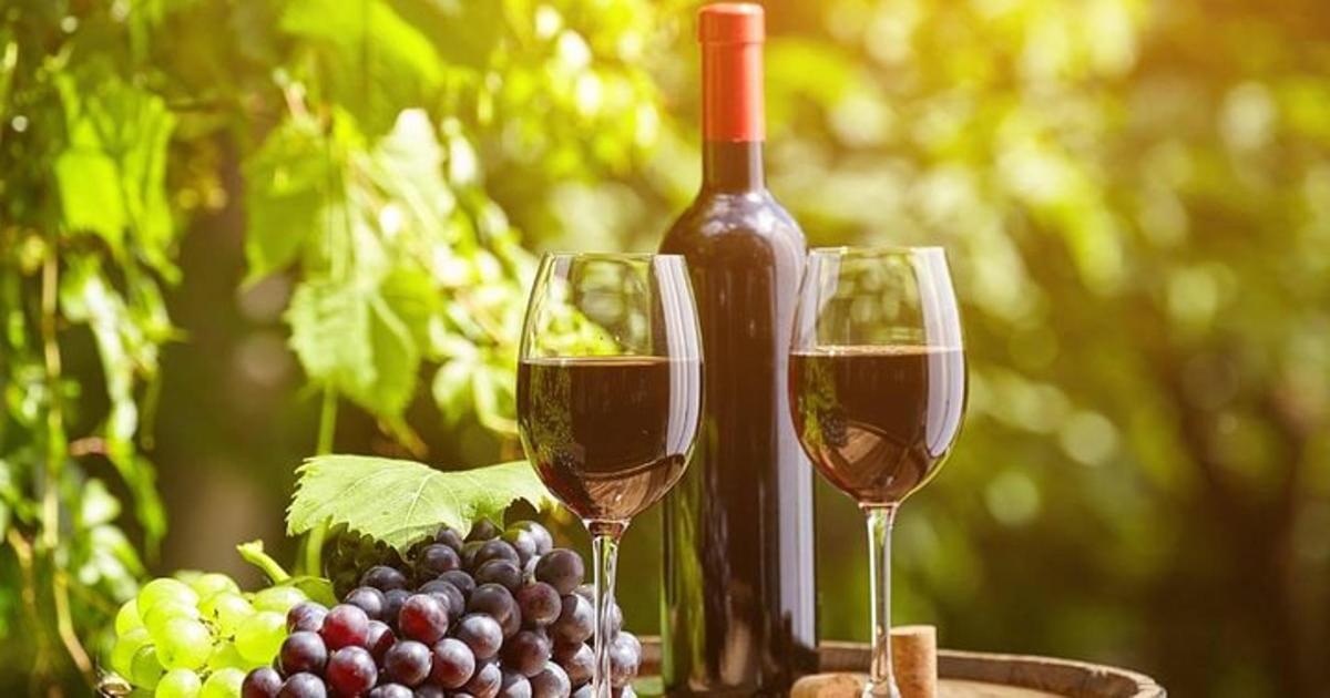 dos copas de vino tinto junto a un racimo de uvas