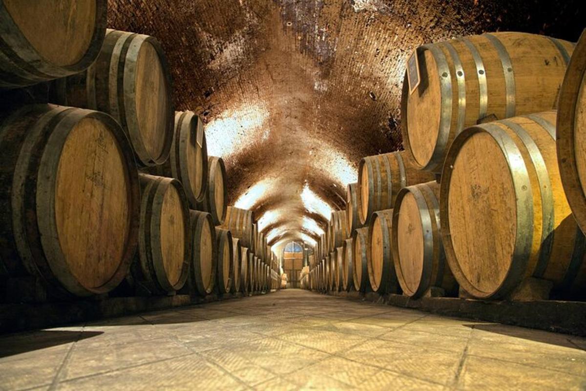 a row of wine barrels in a wine cellar