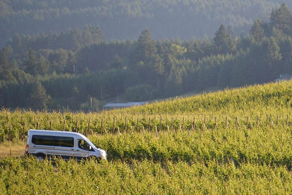 a white truck parked in the middle of a field