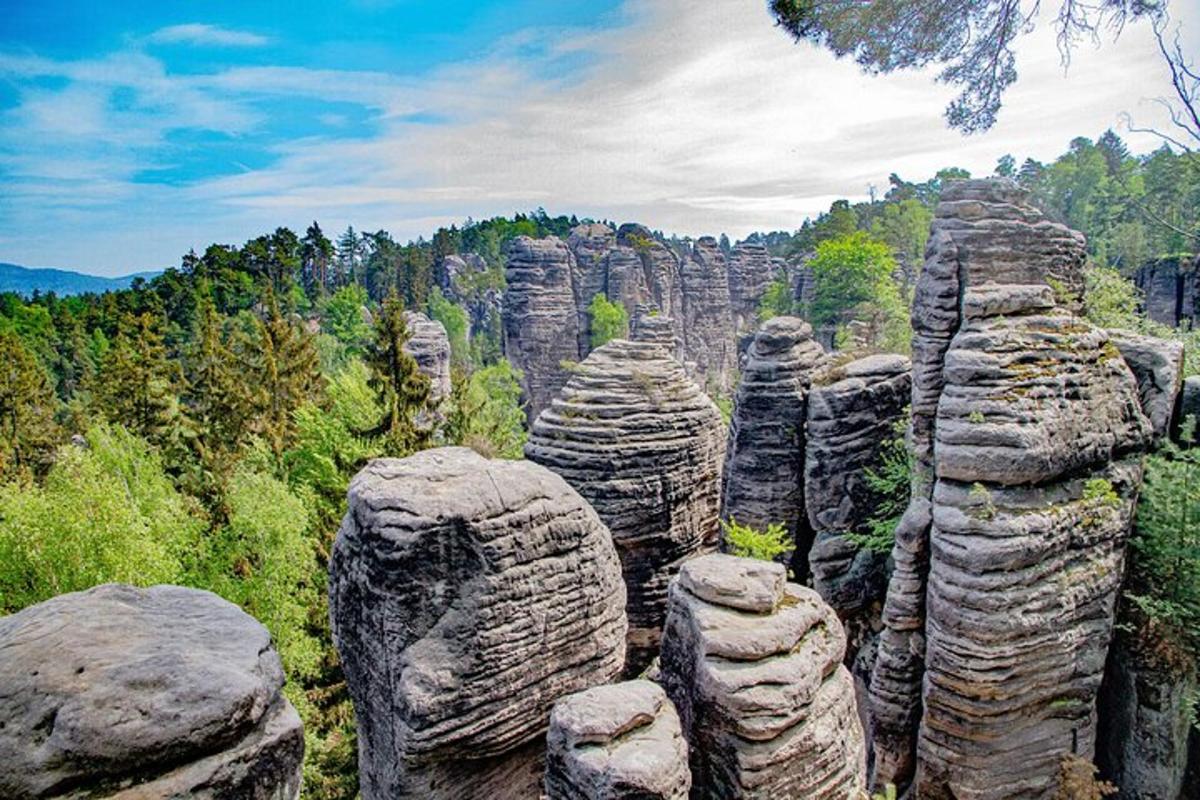 kivimite moodustiste rühm metsas