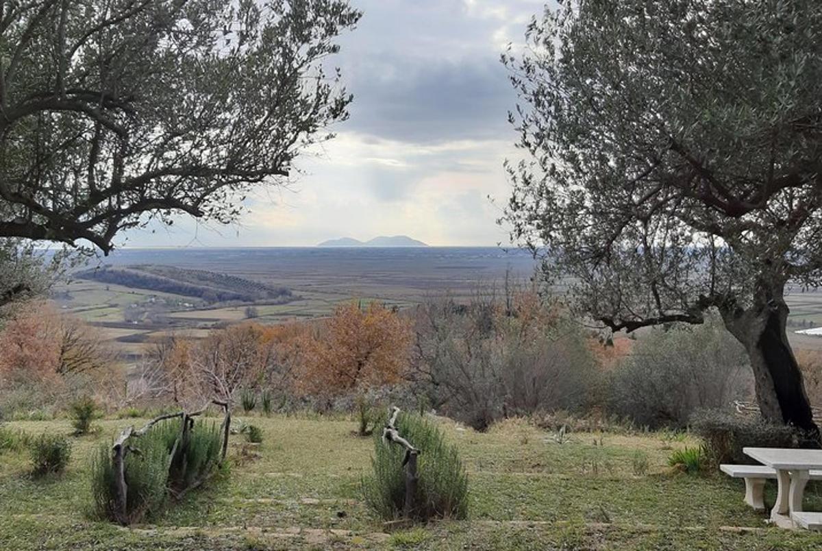 un parco con una panchina, un tavolo e degli alberi