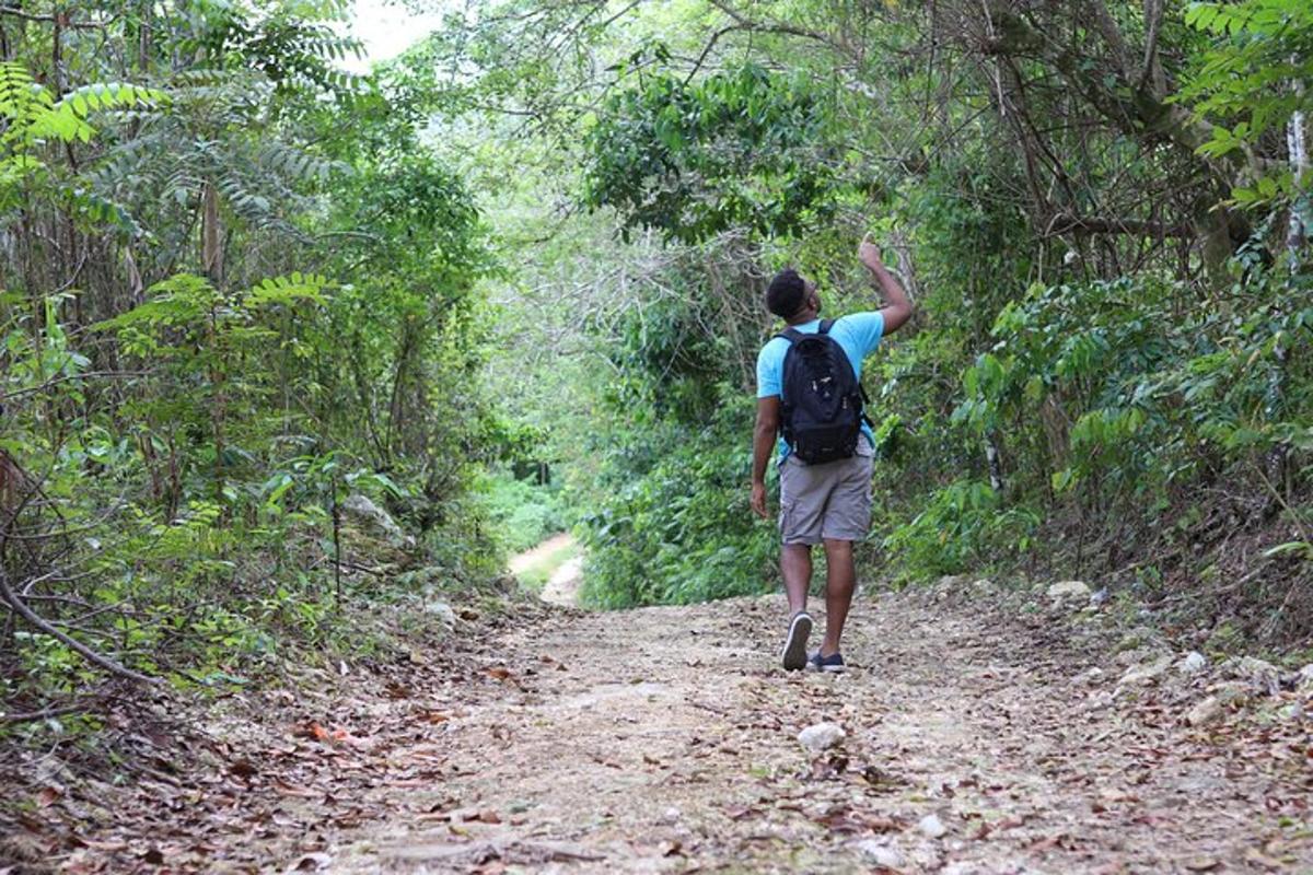 a man walking on a dirt trail in the woods