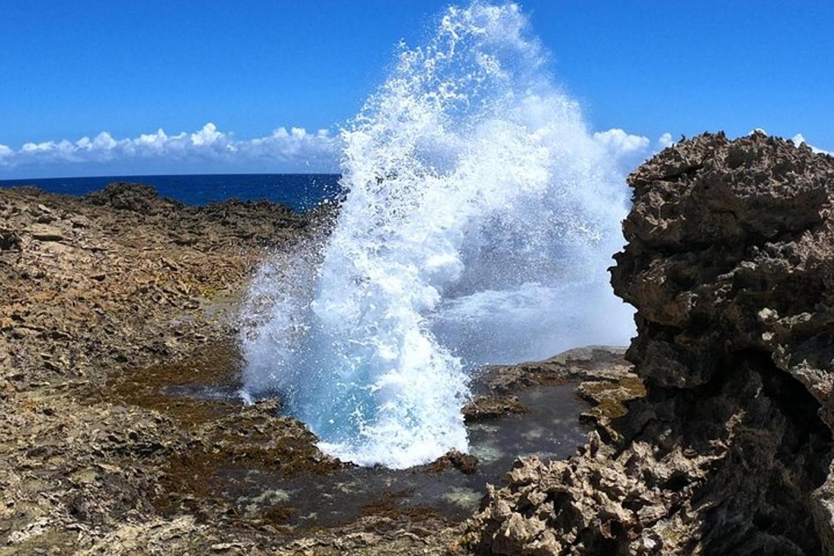 Lankytinos vietos ar pramogos nuotrauka numeris 6