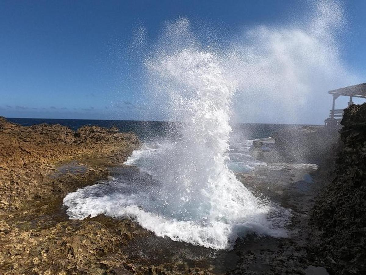 Lankytinos vietos ar pramogos nuotrauka numeris 7