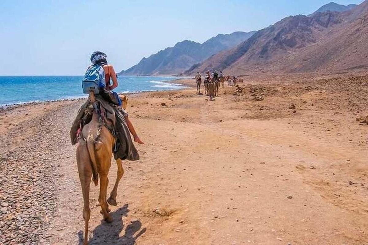 eine Person, die auf einem Pferd am Strand reitet