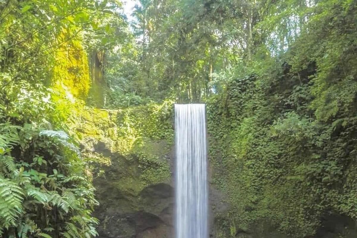 air terjun di tengah hutan