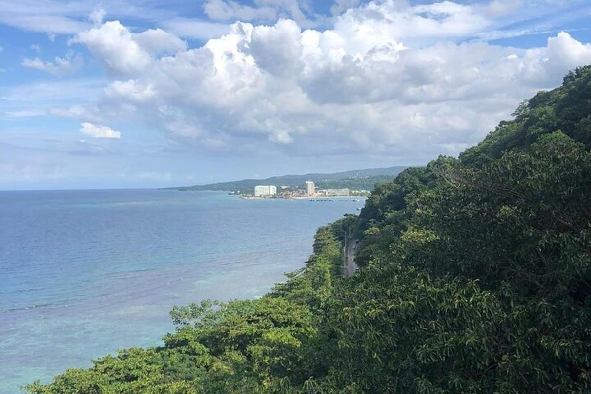 una vista de l'oceà des d'un turó amb arbres