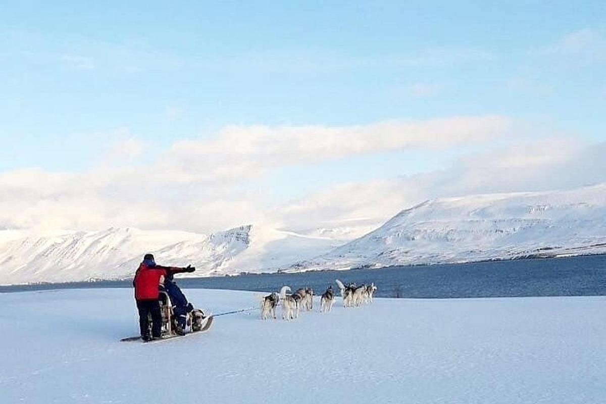 Un hombre tirando de un grupo de perros en la nieve.