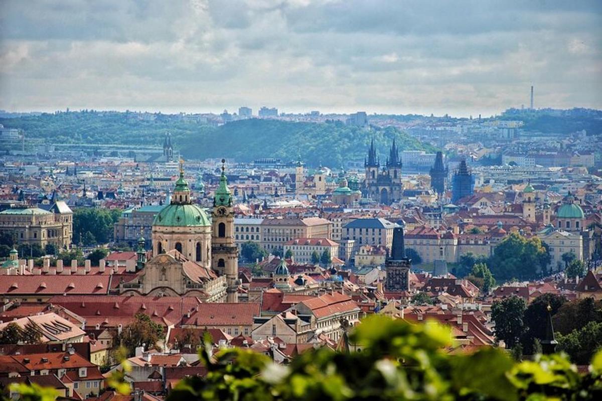 Una vista de una gran ciudad con edificios.