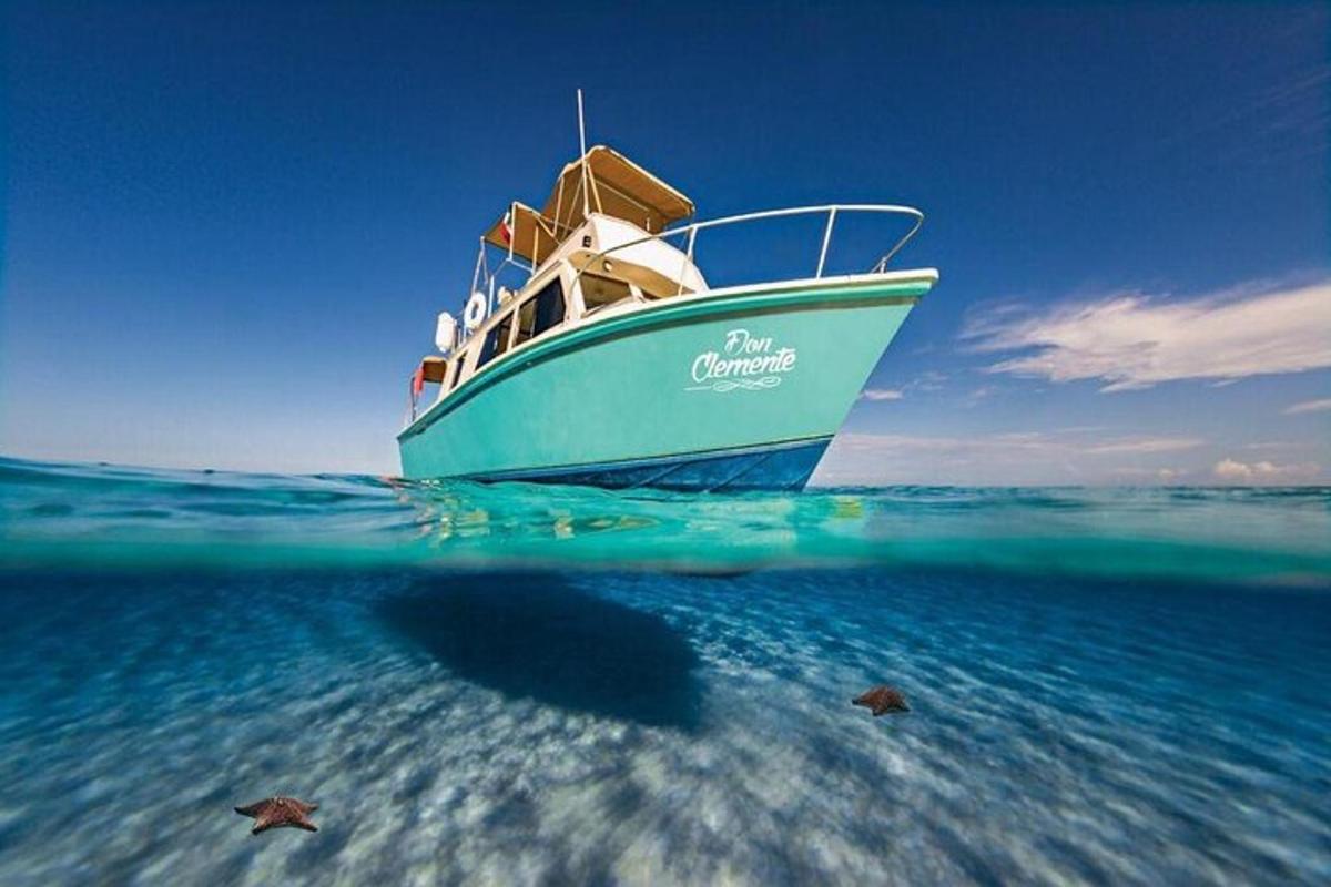 una barca blu nell'oceano con una tartaruga nell'acqua