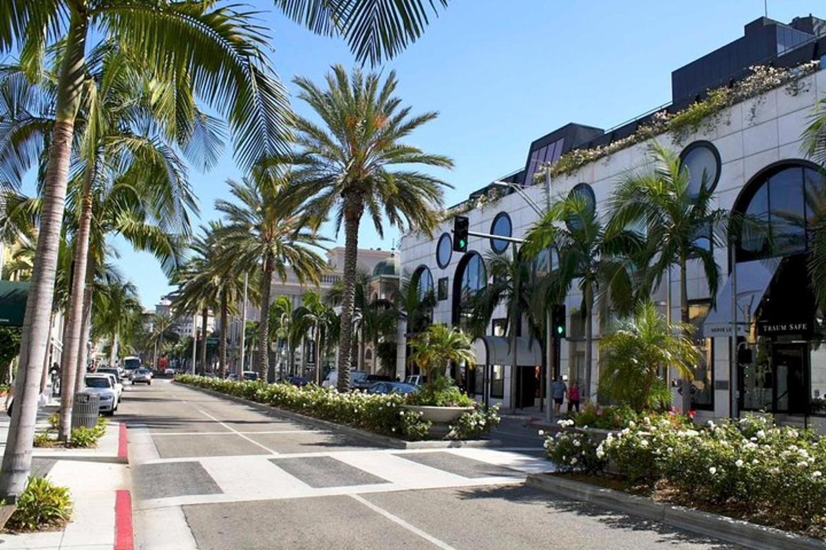ulice s palmami a budovou