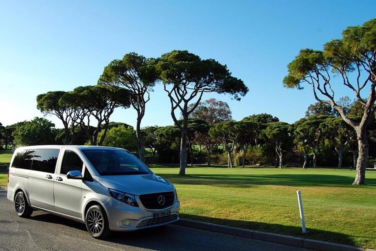 egy fehér és szürke furgon parkolt egy parkban