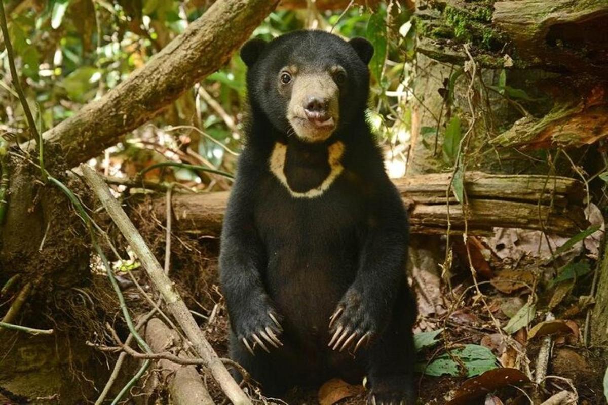 Fotografia da atração 6