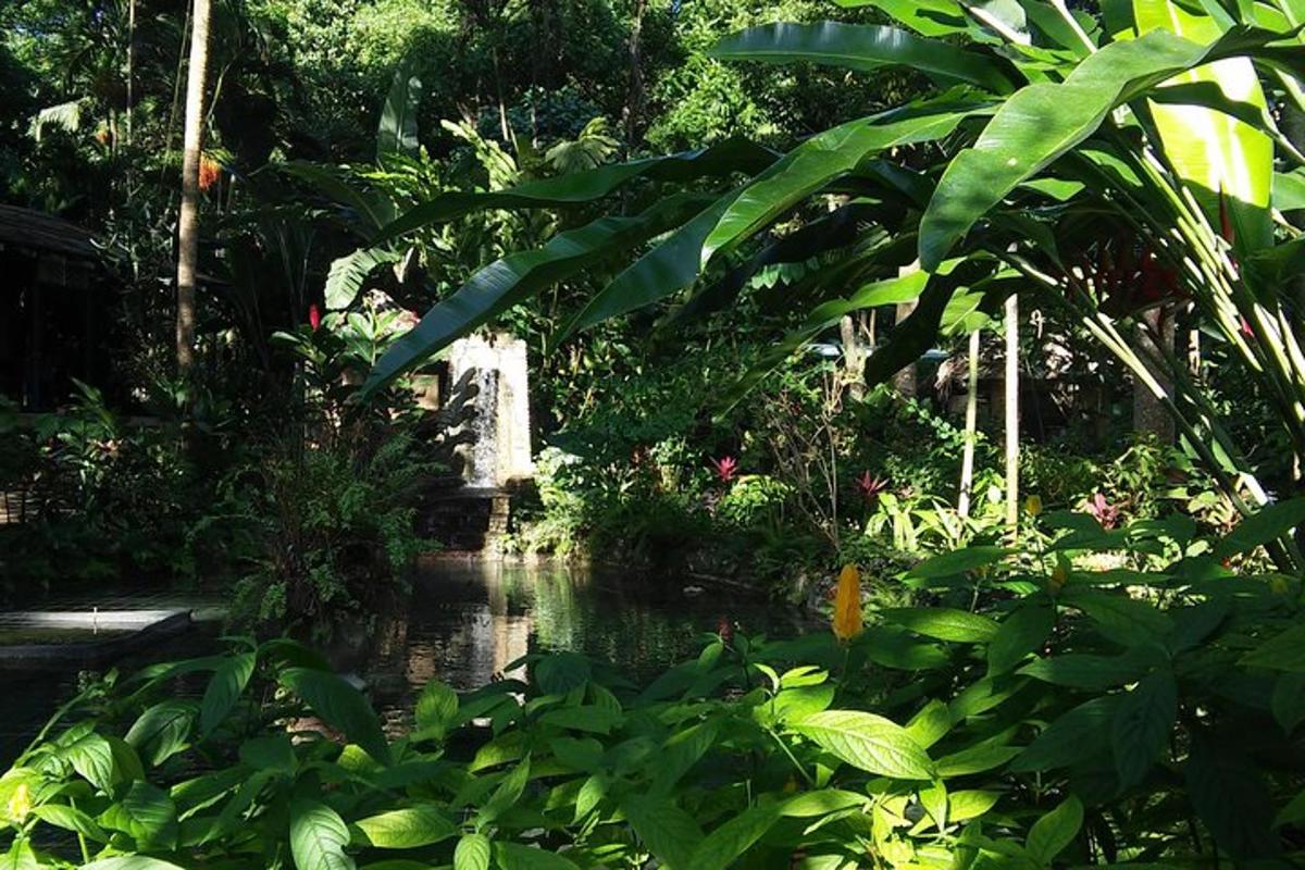 Un jardín con un estanque en medio de las plantas.
