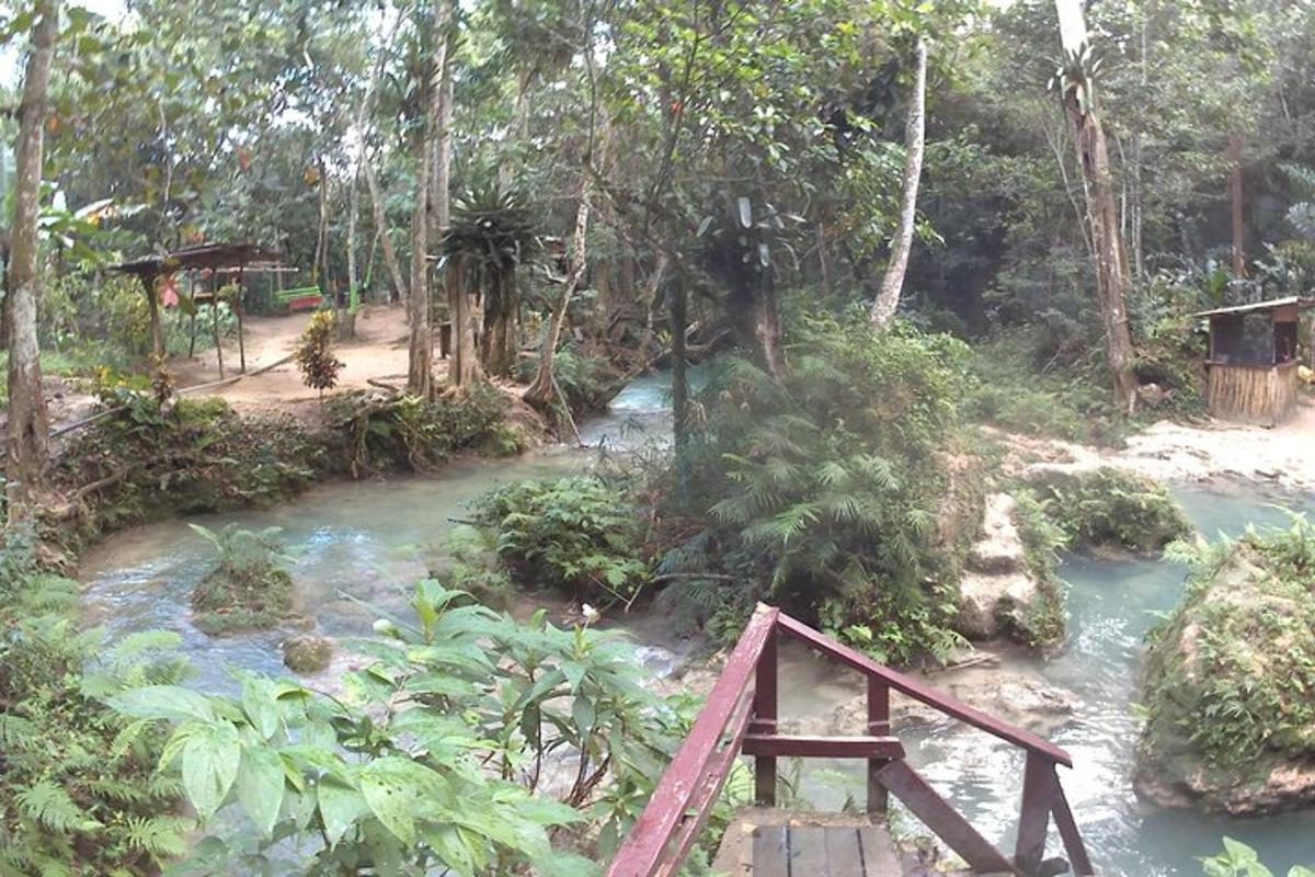 uma ponte de madeira sobre um rio em uma floresta
