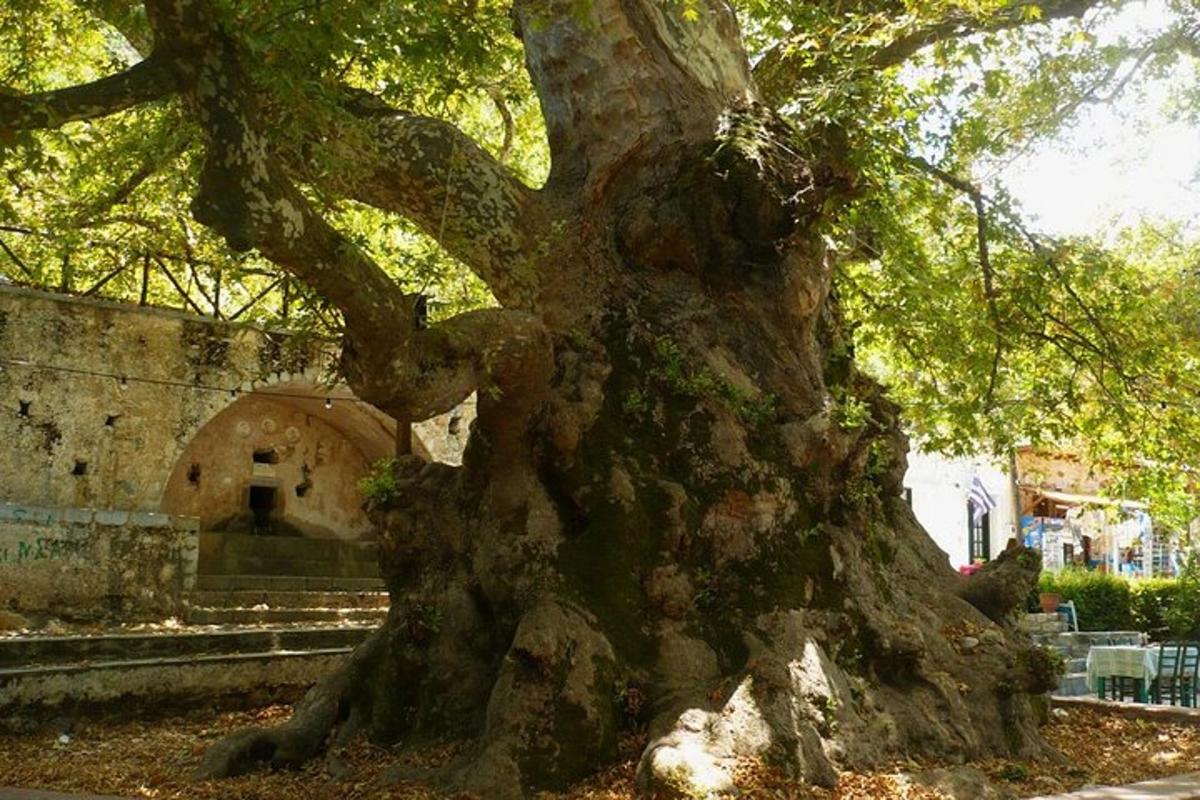 Φωτογραφία αξιοθέατου 4