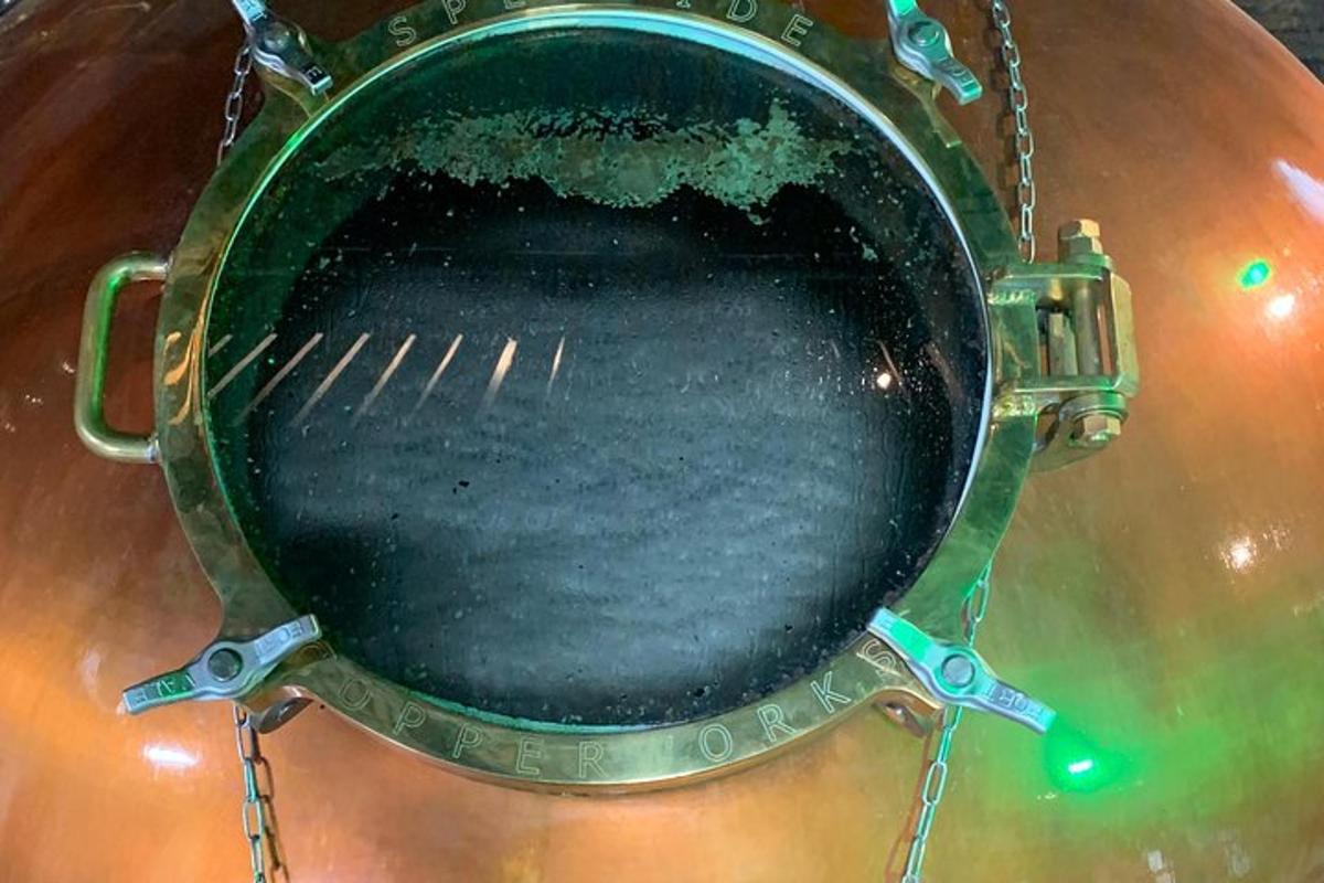 a close up of a green helmet with a chain