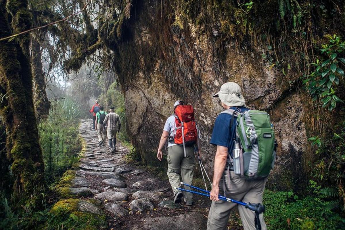 eine Gruppe von Menschen, die einen Bergpfad hinuntergehen