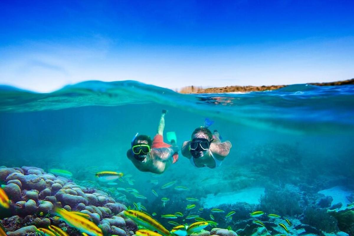 een persoon die zwemt in het water nabij een koraalrif
