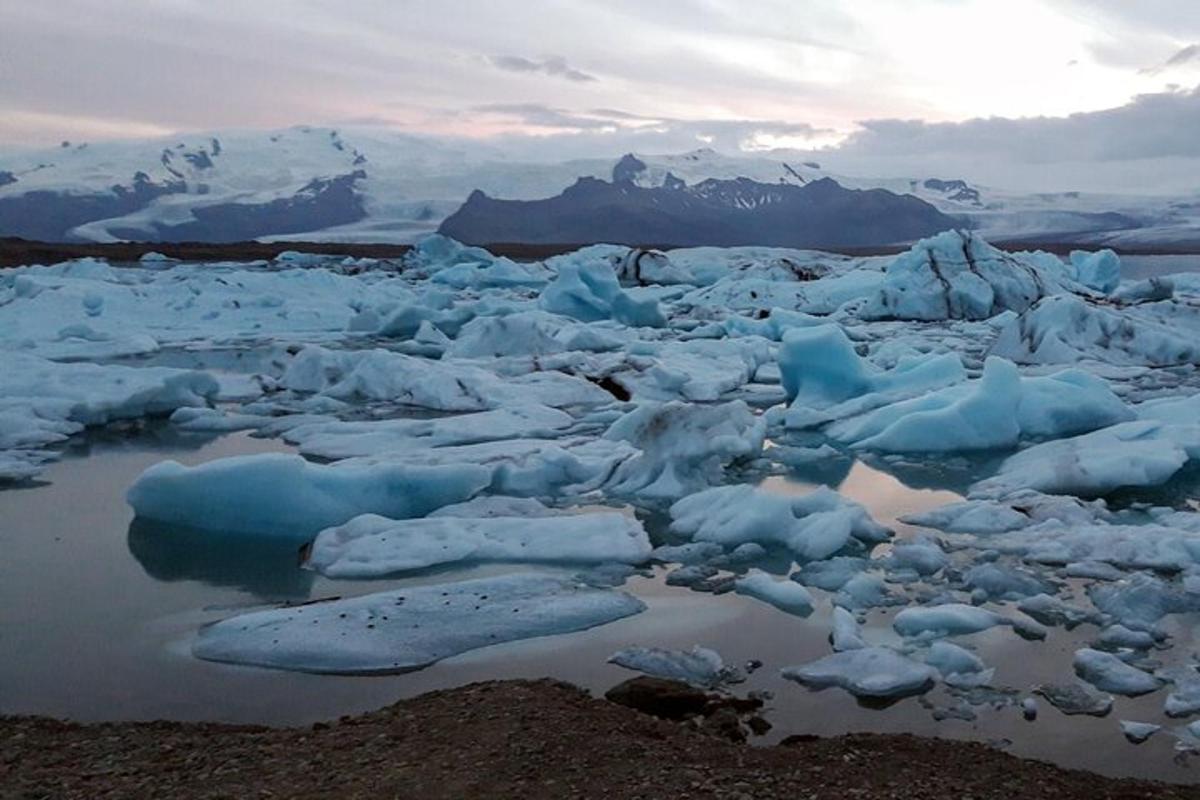 um grupo de icebergs em um corpo d'água