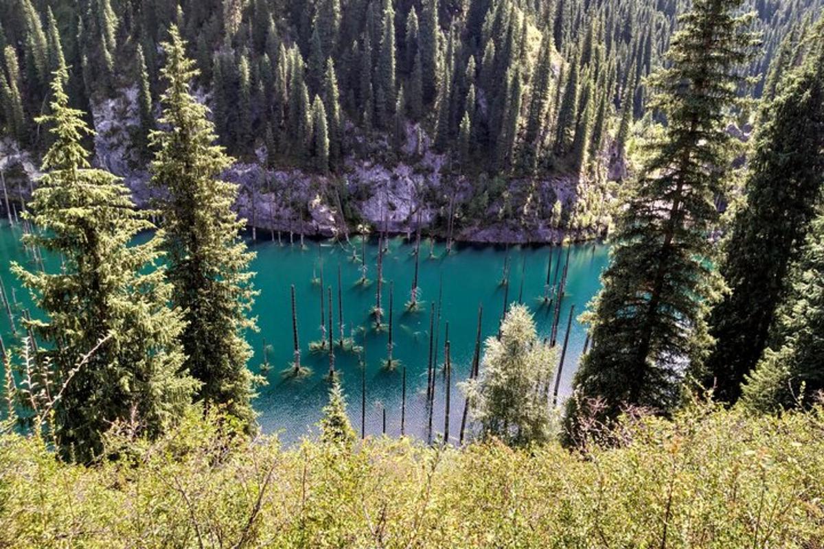 tasik biru di tengah-tengah hutan