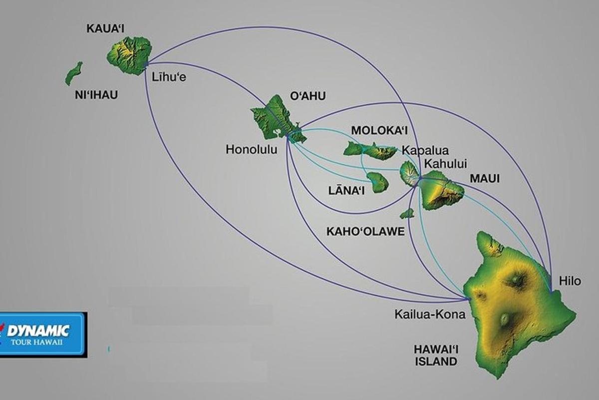 diagram cyklu dusíku v rostlině