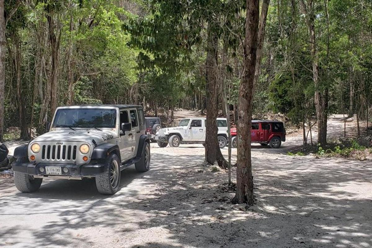 sebuah jip diletakkan di atas jalan tanah di sebelah pokok