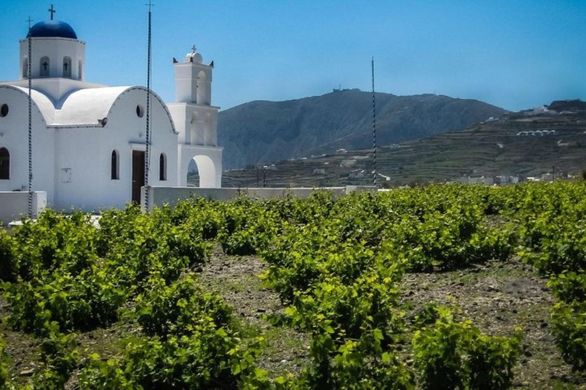 una iglesia blanca y un campo de viñas verdes