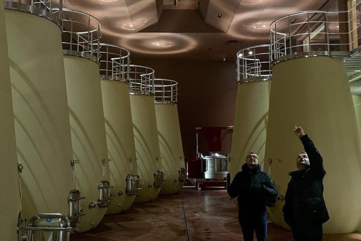 dos homes drets en una habitació amb una filera de bótes de vi