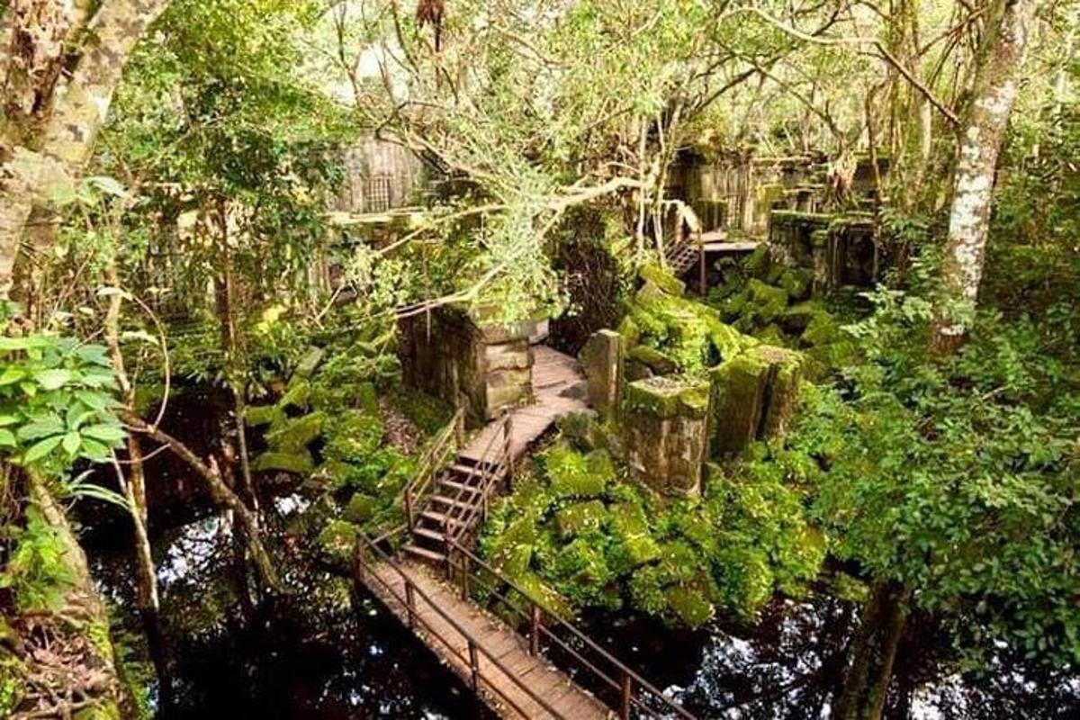 Una escalera en un jardín con árboles y agua.