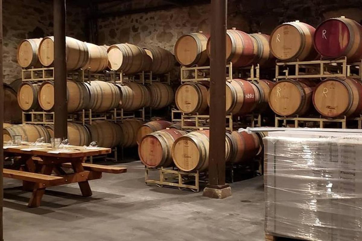 a room with a bunch of wine barrels
