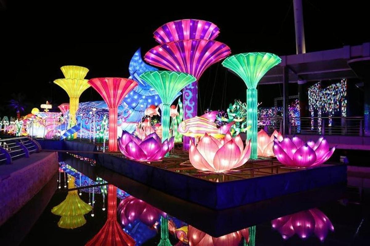 Photo de l’attraction numéro 5.