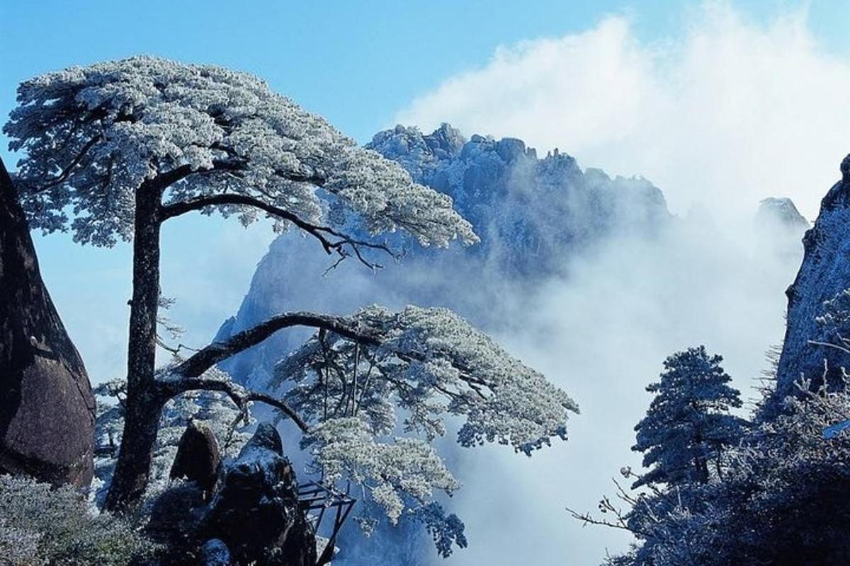 uma árvore no topo de uma montanha no céu