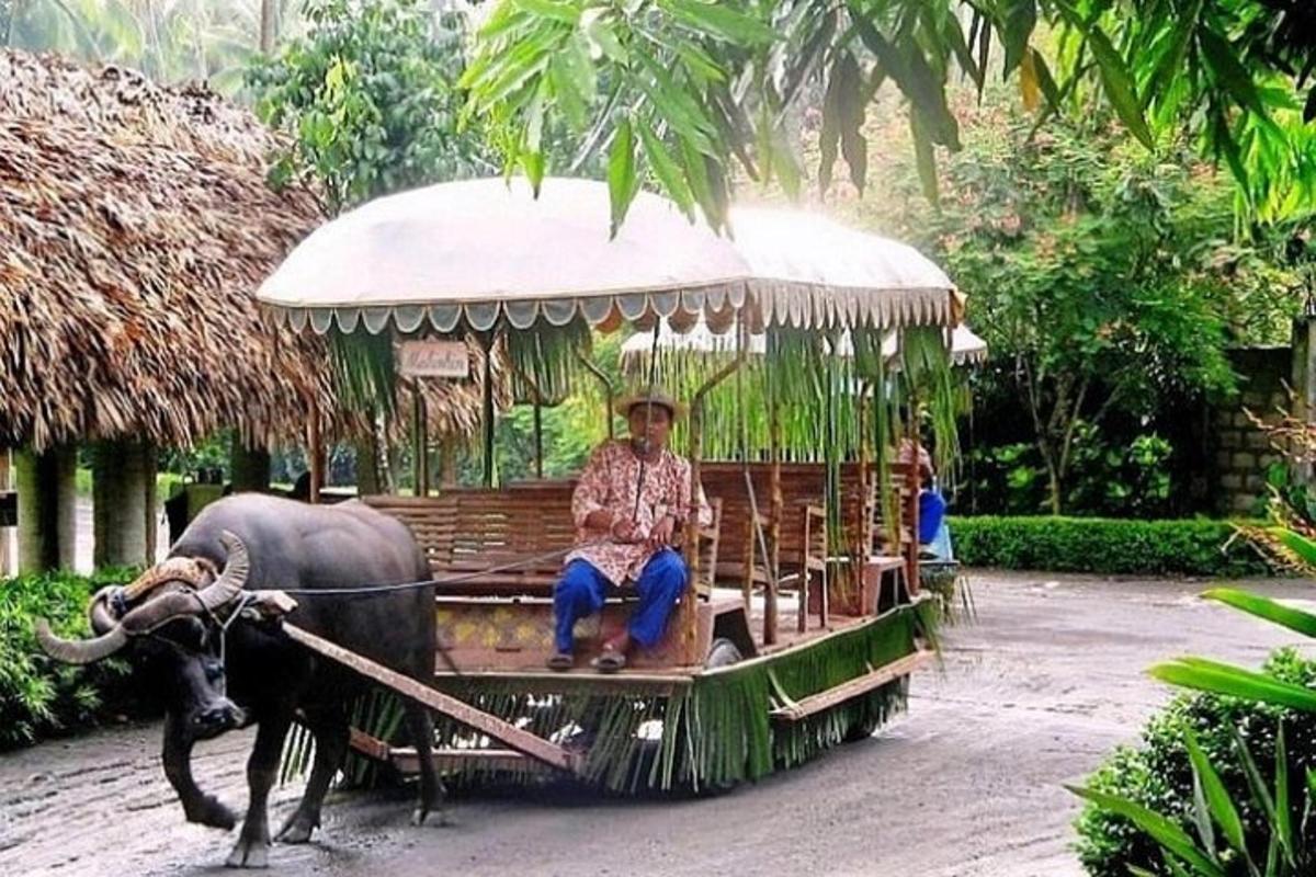 a man riding a cart pulled by a cow