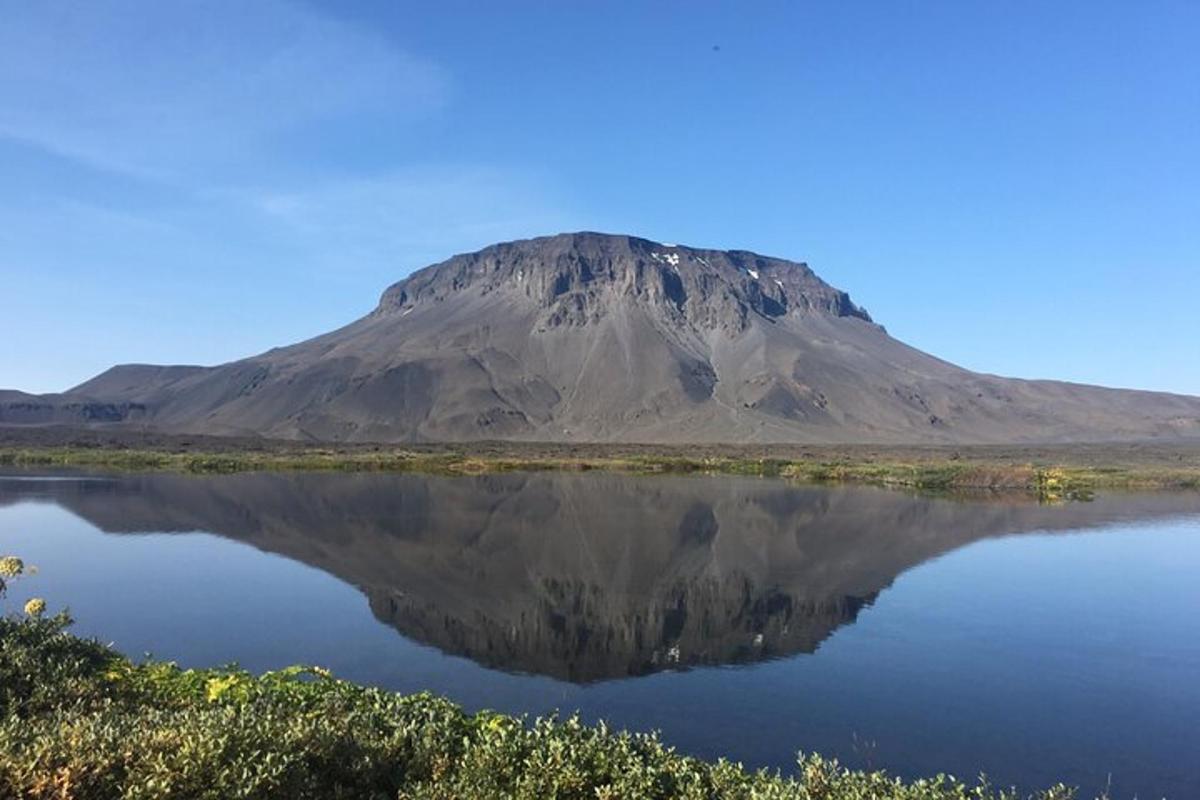 Ljósmynd af afþreyingu 5