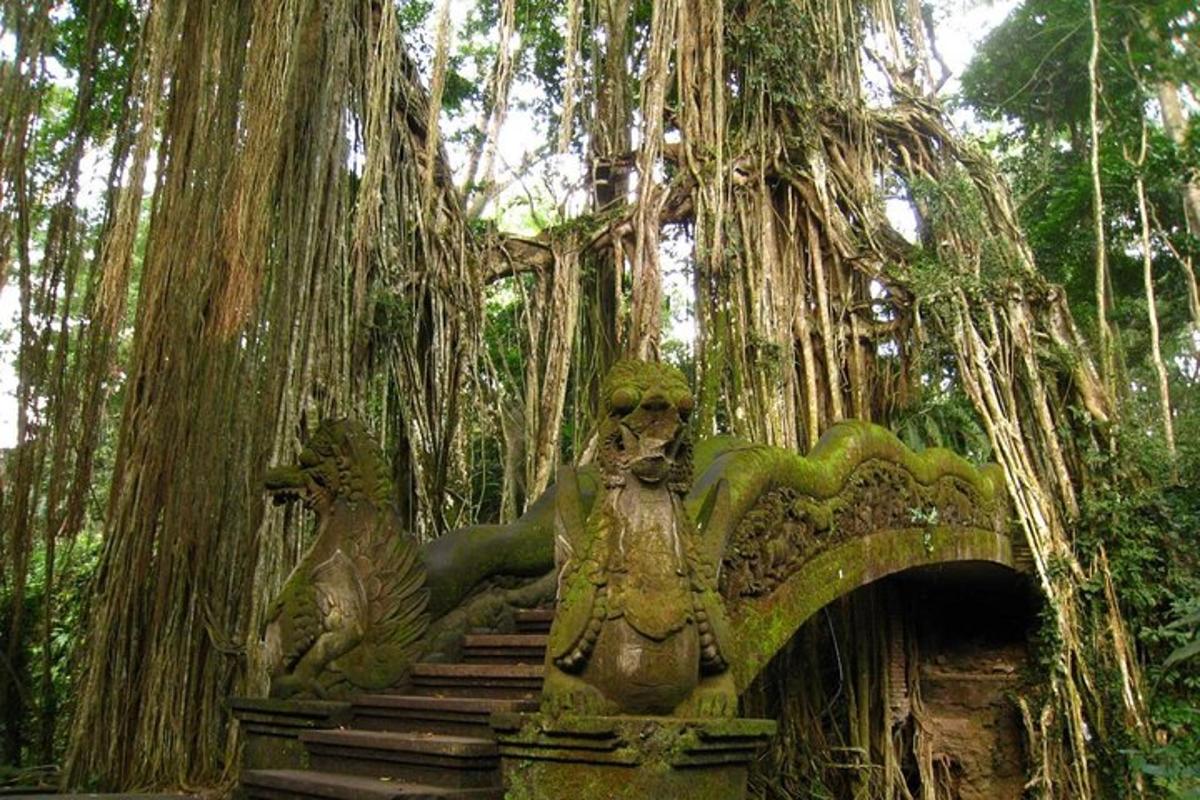 a stone stairway in front of a large tree