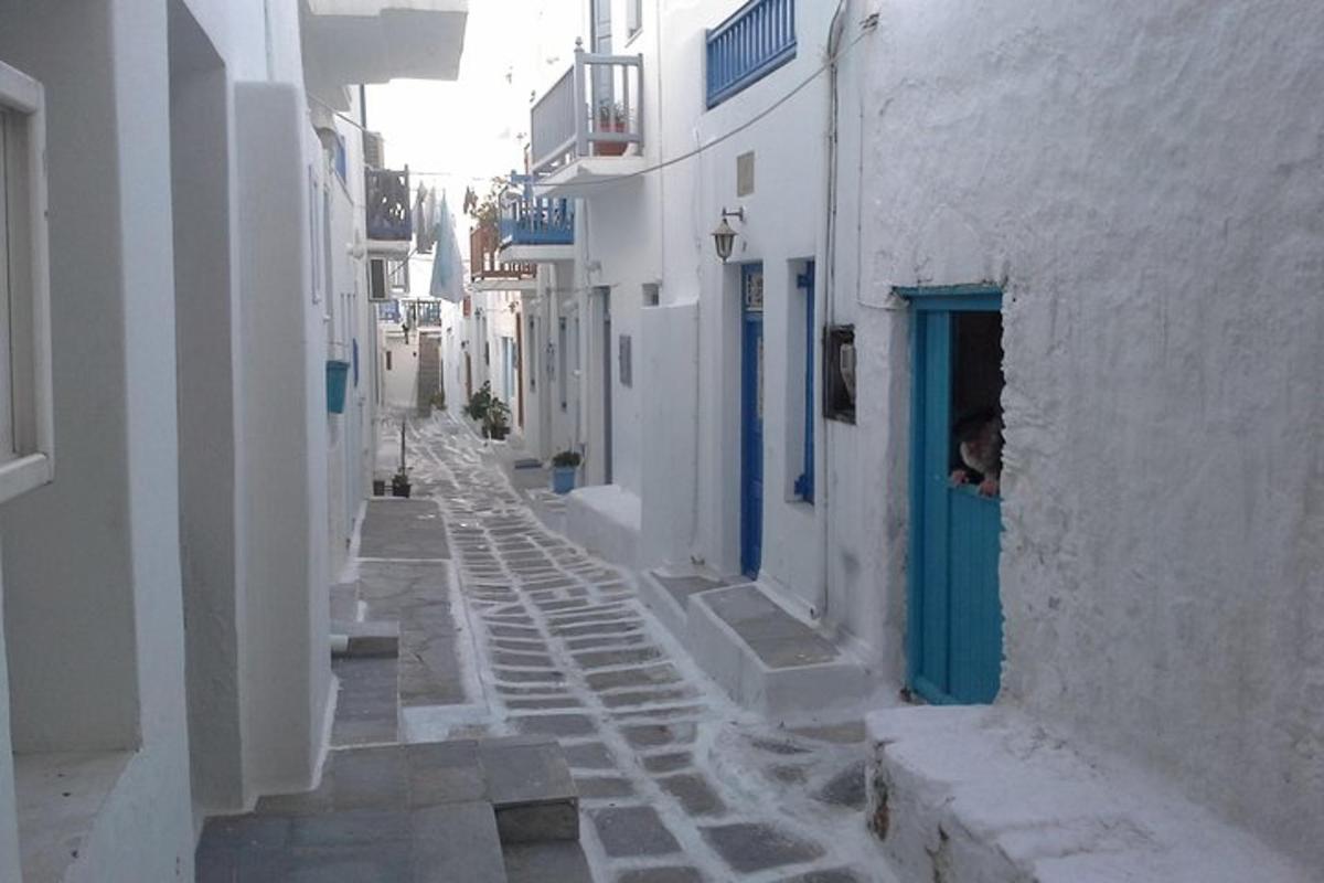 Lankytinos vietos ar pramogos nuotrauka numeris 5