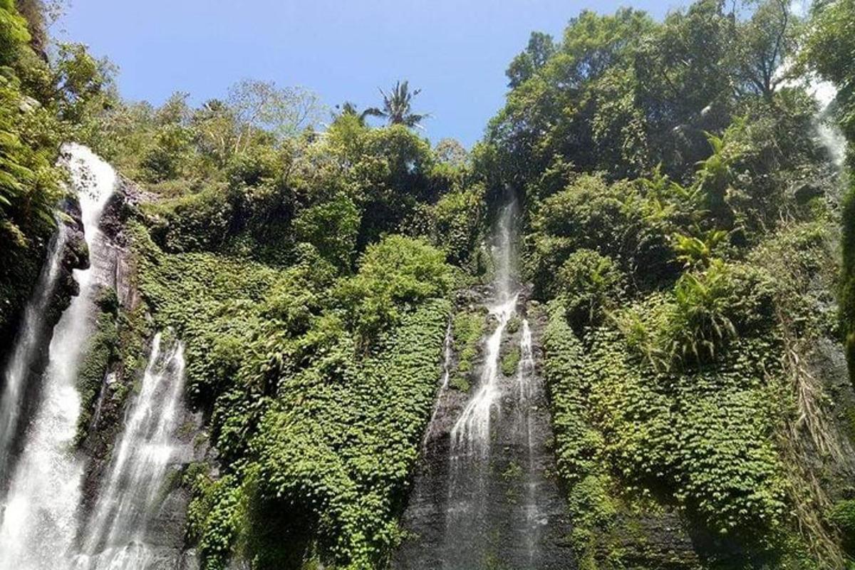 una cascata in mezzo a una foresta con alberi
