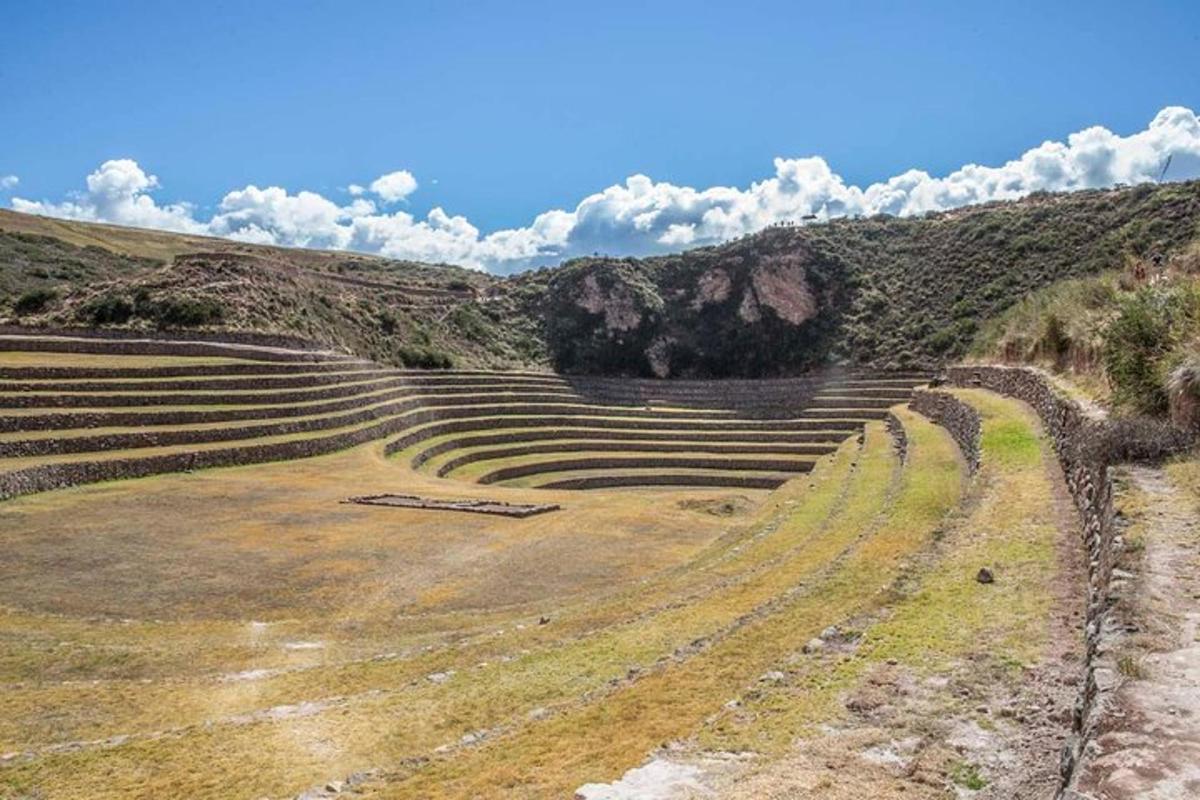 un antico anfiteatro in un campo con nuvole nel cielo