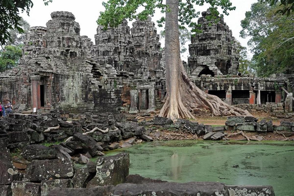 uma árvore em frente a um templo com um lago