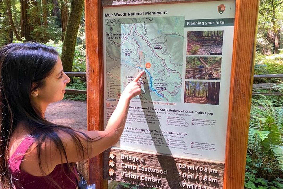 en kvinde peger på et skilt i en skov